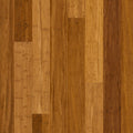 Arc Bamboo - Australiana