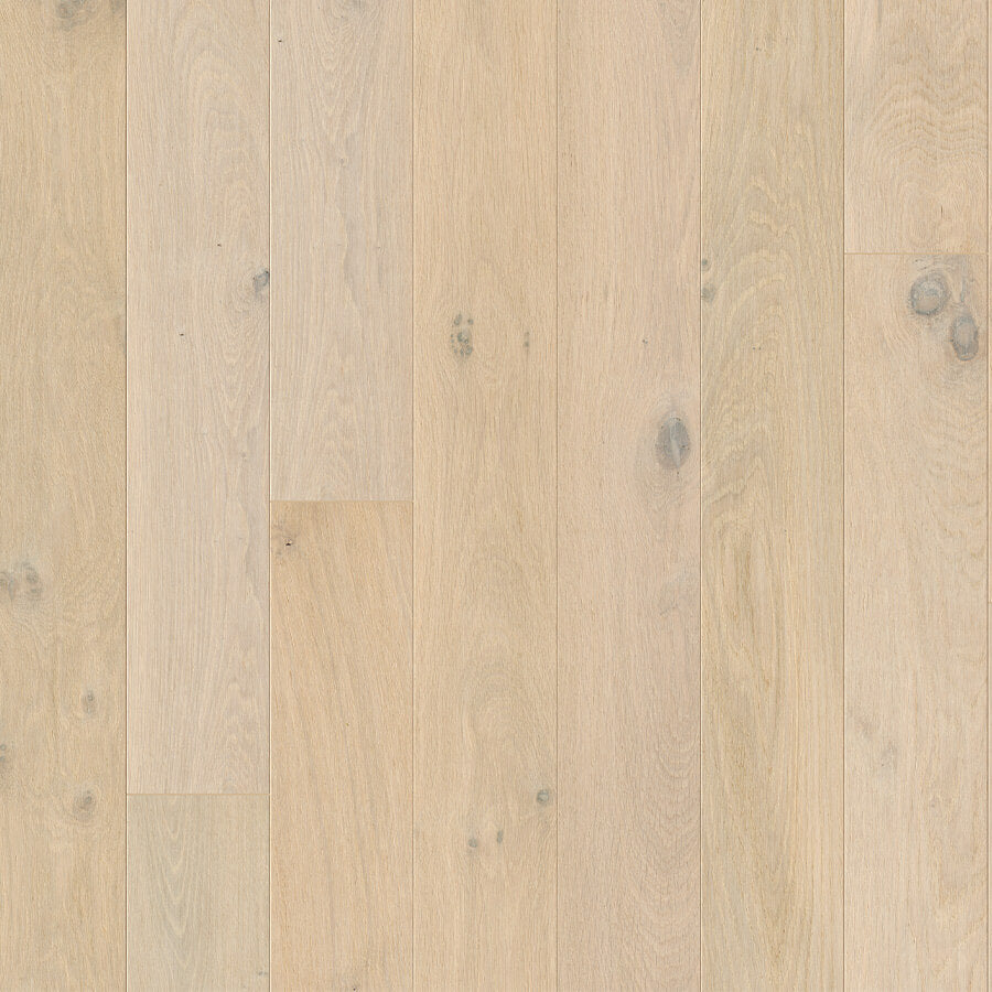 Opus - Snowfield Oak