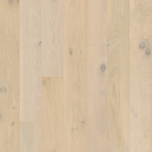 Opus - Snowfield Oak