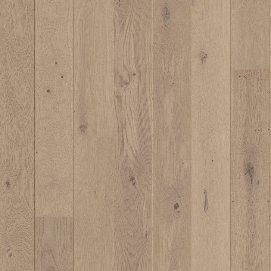 Amato - Cliff Grey Oak Extra Matt