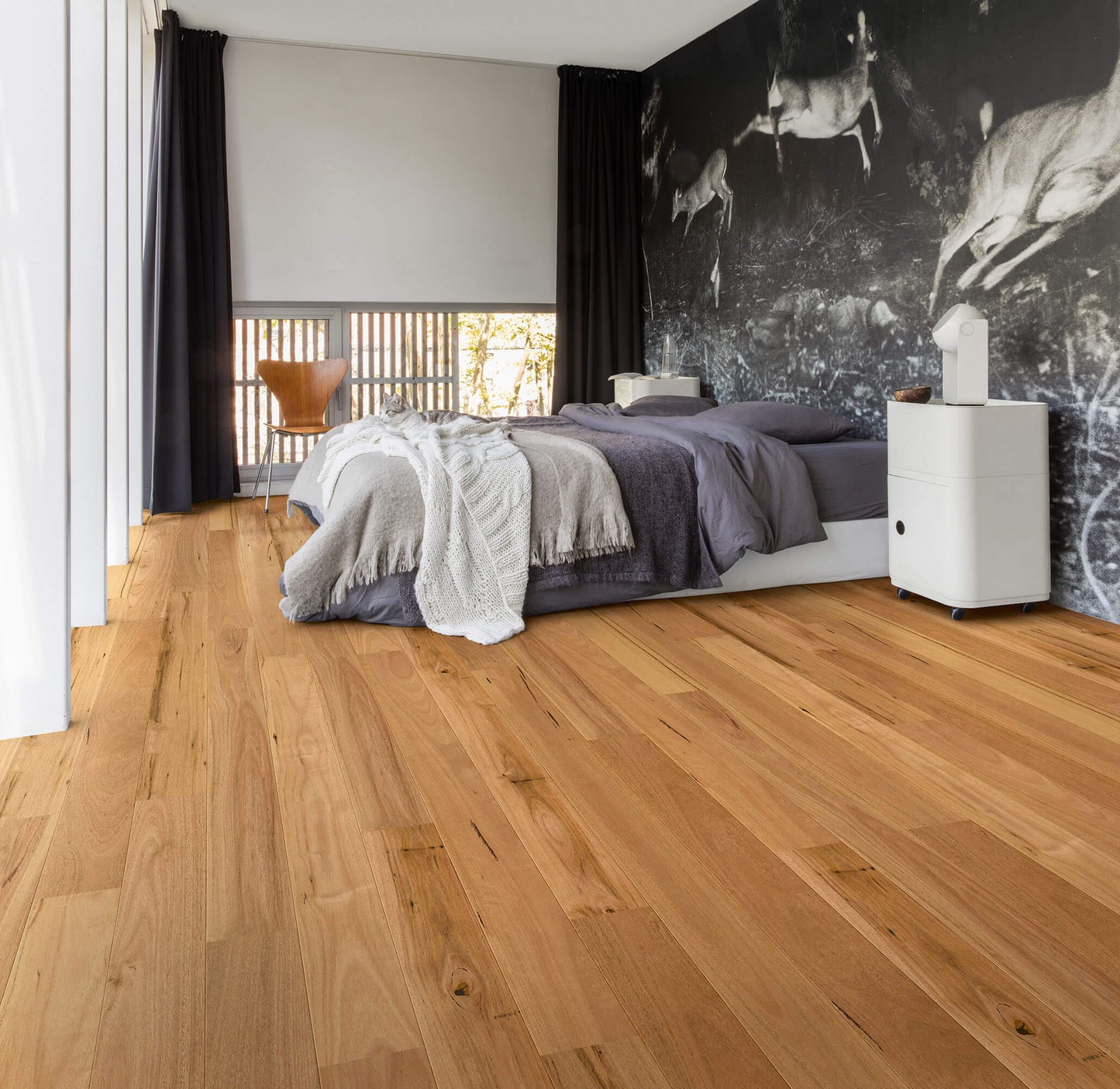 Amato - Blackbutt