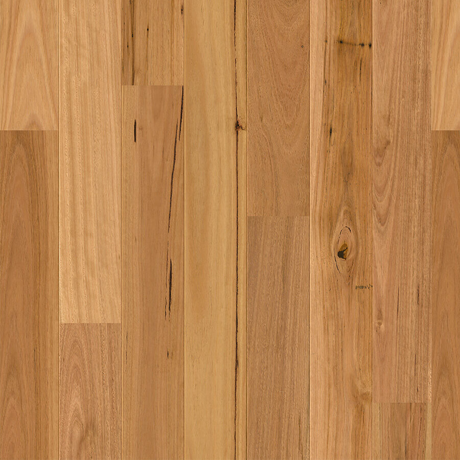 Amato - Blackbutt
