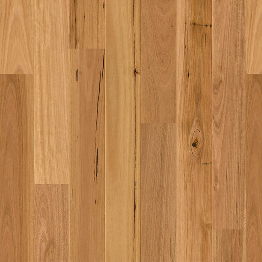 Amato - Blackbutt