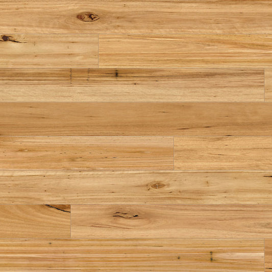 Australian Native - Blackbutt