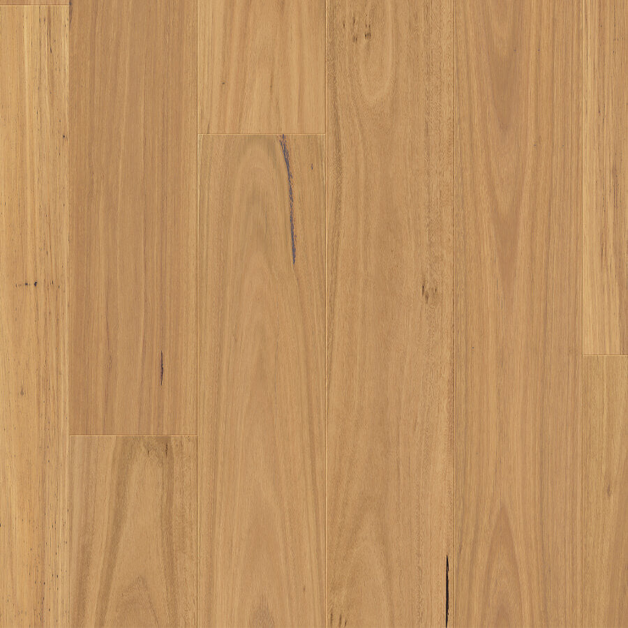 Urbancore Max - Bushland Blackbutt