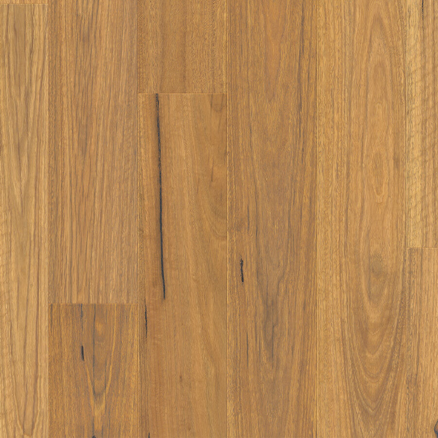Urbancore Max - Bushland Spotted Gum