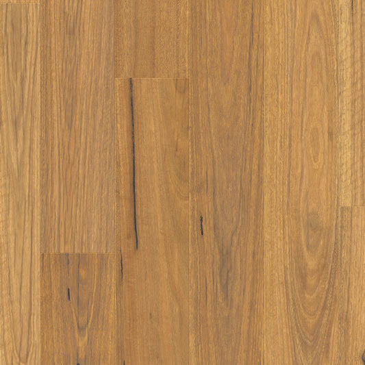 Urbancore Max - Bushland Spotted Gum