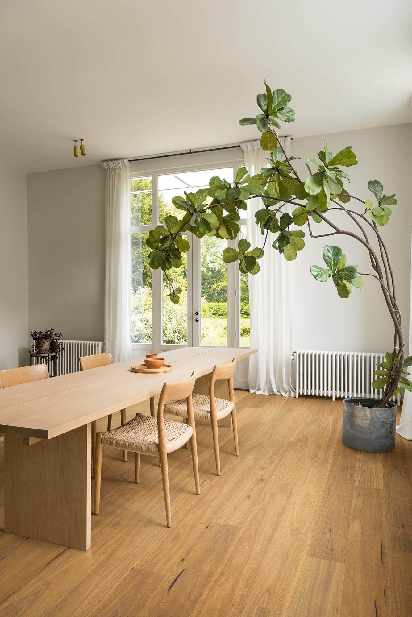 Dining room with wooden table, chairs, and a large indoor plant.