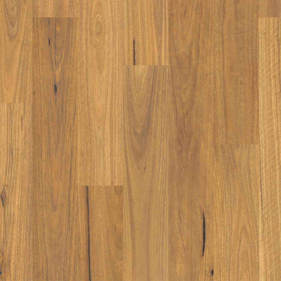 Harmony - Spotted Gum