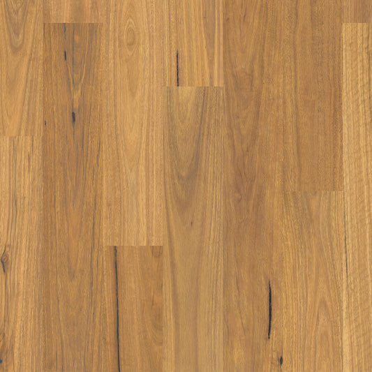 Harmony - Spotted Gum