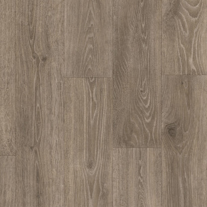 Royale - Forest Trail Oak