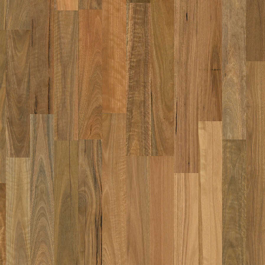 Elegra 2 Strip - Spotted Gum Brushed Matt