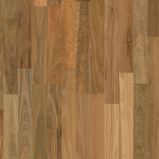 Elegra 2 Strip - Spotted Gum Brushed Matt