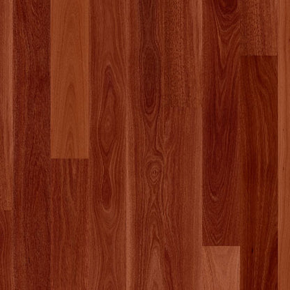 Wildhaven Australian Species Long Pack - Burnished Jarra