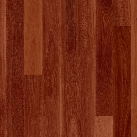 Wildhaven Australian Species Long Pack - Burnished Jarra