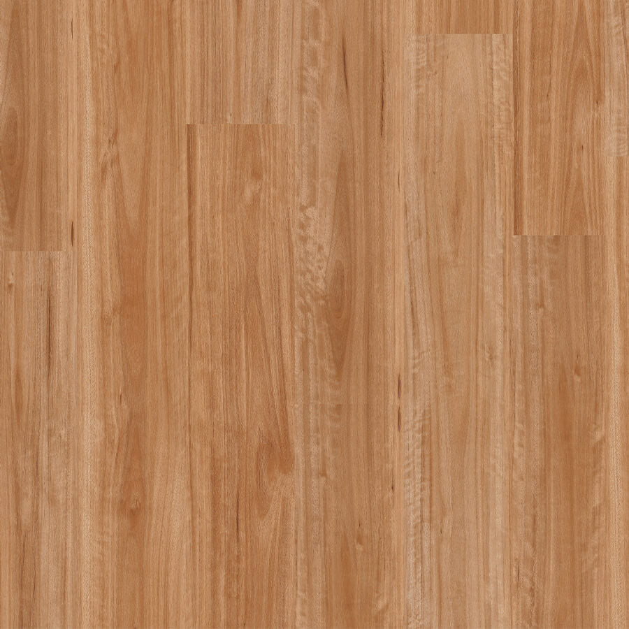 Terralux Hybrid Pro - Golden Blackbutt