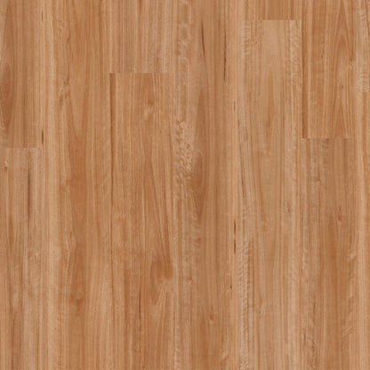 Terralux Hybrid Pro - Golden Blackbutt