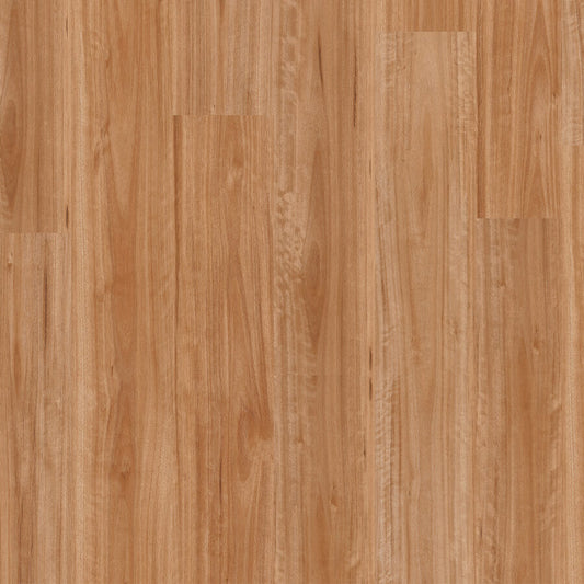 Terralux Hybrid Pro - Golden Blackbutt