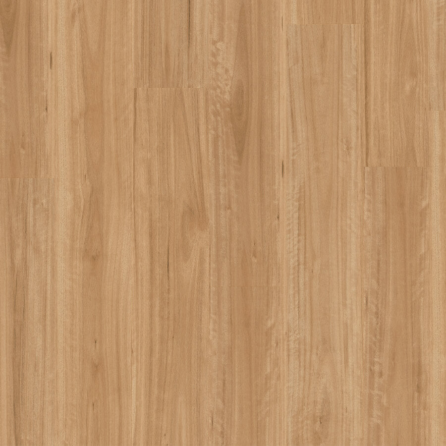 Terralux Hybrid Pro - Sunwashed Blackbutt