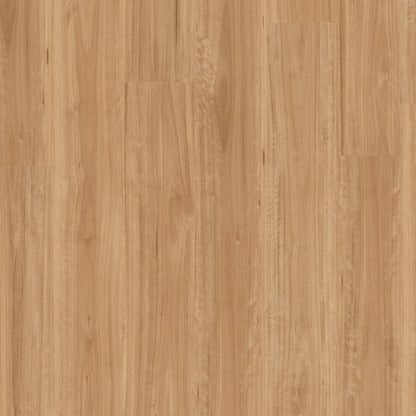 Terralux Hybrid Pro - Sunwashed Blackbutt