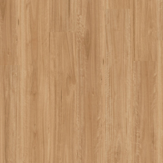Terralux Hybrid Pro - Sunwashed Blackbutt