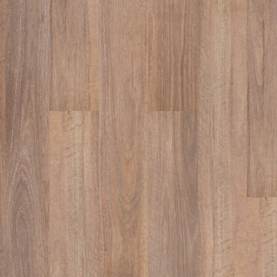 Terralux Hybrid - Forest Spotted Gum