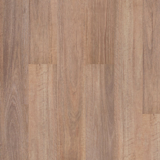 Terralux Hybrid - Forest Spotted Gum