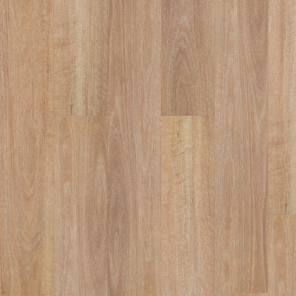 Terralux Hybrid - Silversand Spotted Gum