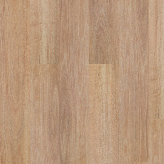 Terralux Hybrid - Silversand Spotted Gum