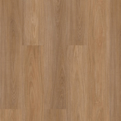 Terralux Hybrid - Driftwood Blackbutt