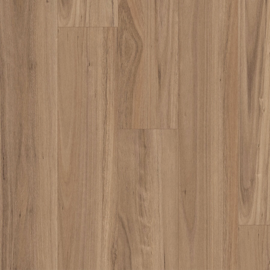 Terralux Hybrid Grande - Blackbutt Reserve