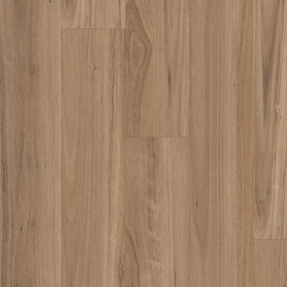 Terralux Hybrid Grande - Blackbutt Reserve