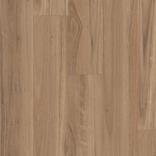 Terralux Hybrid Grande - Blackbutt Reserve