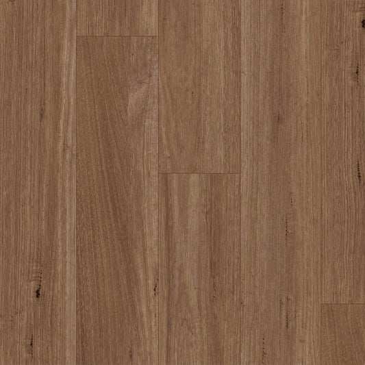 Terralux Hybrid Grande - Timbercrest Spotted Gum