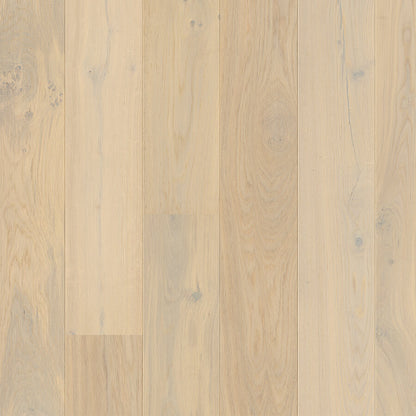 Wildhaven European Oak - Snowfield