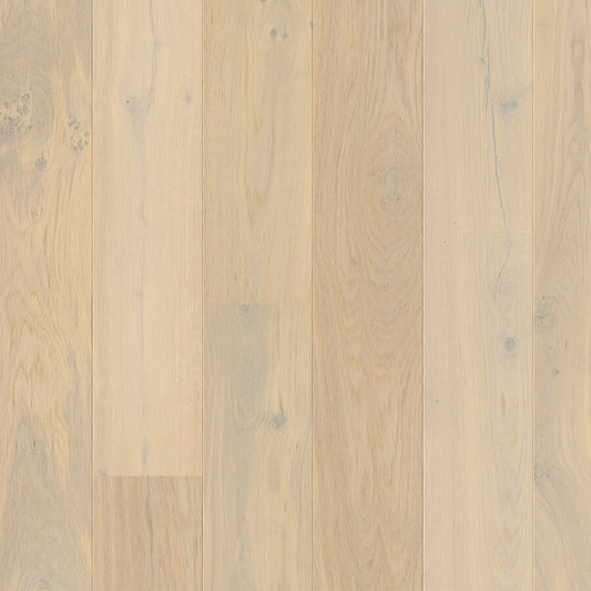 Wildhaven European Oak - Snowfield